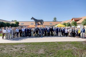 Read more about the article „Jószerencse, semmi más”? – Kincsem sikereinek valódi háttere